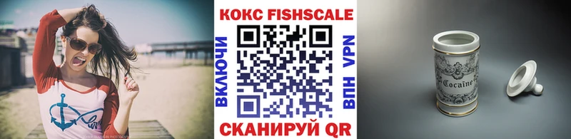 Купить закладки  Алдан  Cocaine Fish Scale 