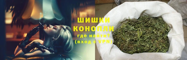 ГАЛЛЮЦИНОГЕННЫЕ ГРИБЫ Аркадак