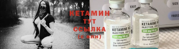 ГАЛЛЮЦИНОГЕННЫЕ ГРИБЫ Аркадак