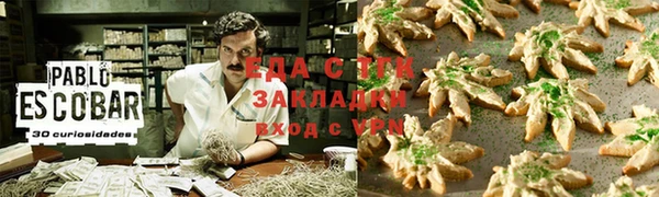 ГАЛЛЮЦИНОГЕННЫЕ ГРИБЫ Аркадак
