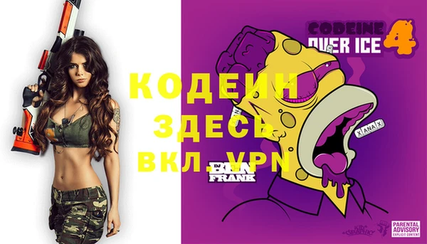 ГАЛЛЮЦИНОГЕННЫЕ ГРИБЫ Аркадак