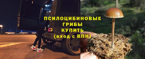 ГАЛЛЮЦИНОГЕННЫЕ ГРИБЫ Аркадак